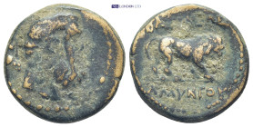 Kings of Galatia, Amyntas, AE 36-25 BC. (8.7 Gr. 21 mm). Bearded and bare head of Herakles right, with club over shoulder. Rev. Lion walking, right.