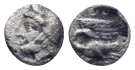 Greek coin

IONIA, Leukai. Circa 350 BC. AR Obol . Head of the Persian general Tachos (?) left, wearing Persian helmet / LEO, swan standing left wit...