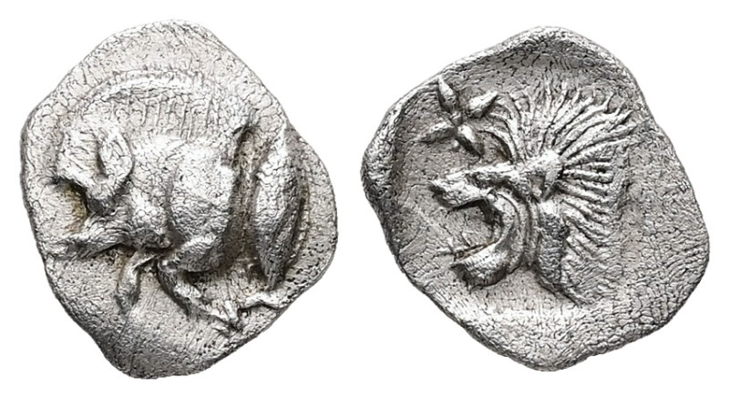 Mysia, Kyzikos. AR Hemiobol, 0.40 g 9.81 mm. Circa 450-400 BC.
Obv: Forepart of ...