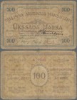 Estonia: Tallinna Arvekoja 100 Marka 1919, P.A3a, highly rare note in still nice condition with repaired tears at upper and lower margin and a few mar...