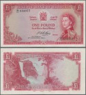 Rhodesia: 1 Pound 1964 P. 25, pressed but still with strongness in paper, light folds and nice colors, condition: VF.