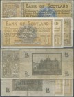 Scotland: set of 5 notes Bank of Scotland containin 1 Pound 1936 P. 91a (F), 1 Pound 1942 P. 91c (F+), 1 Pound 1950 P. 96b (XF), 1 Pound 1951 P. 96b (...
