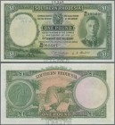 Southern Rhodesia: 1 Pound 1938 SPECIMEN, P.10es, perforated ”Specimen” at lower margin, serial number B/91 100,000 and Specimen number 12,345 at uppe...