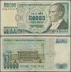 Turkey: 50.000 Lira 1989 P. 203B, rarer issue, used condition with folds and creases, light stain in paper, no holes or tears, condition: F+.