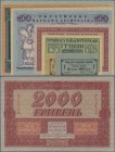 Ukraina: Very nice set with 8 Banknotes comprising 3 Hriven 60 Shagiv and 18 Hriven cupon issue 1918 P.18, 19, 2, 10, 100, 500, 1000 and 2000 Hriven S...
