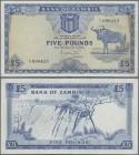 Zambia: 5 Pounds ND(1964) P. 3, in used condition pressed with light folds in paper, no holes, still nice colors in condition: pressed VF.