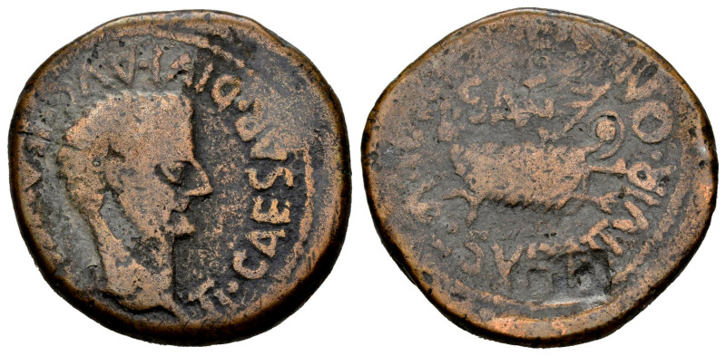 Arse-Saguntum. Time of Tiberius. Unit. 14-36 AD. Sagunto (Valencia). (Abh-2091)....