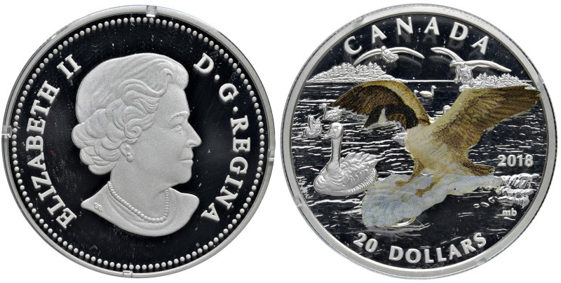 CANADA 20 Dollari 2018 Oca canadese - AG (g 31,39) In astuccio originale con cer...