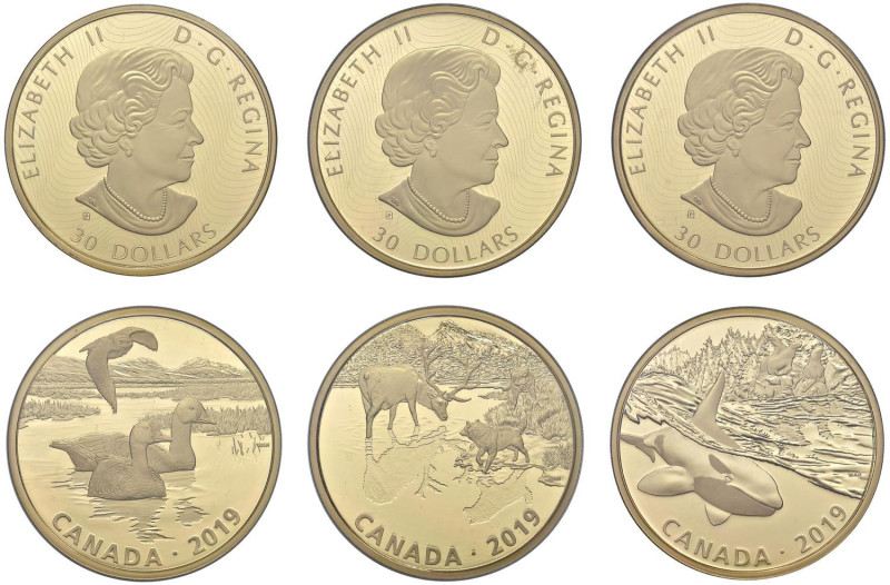 CANADA 30 Dollari 2019 - AG dorato (g 62,69) Lotto di tre monete diverse

FS