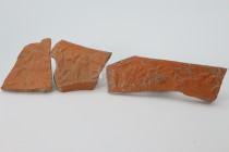 Fragments of Roman Ceramic Pottery 1st Century AD