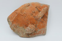 Roman Red Pottery Fragment  1st Century BC, 1st Century AD