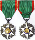France, Third Republic (1870-1940), 1883, Official Order of Agricultural Merit. Total sizes: 46x36 mm ca, Chipped enamels, XF