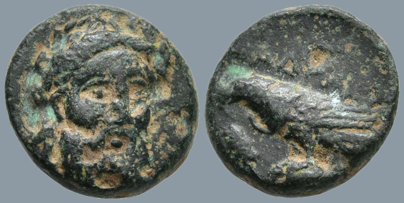 MYSIA. Adramytion. (4th century BC).
AE Bronze (12.2mm 1.71g)
Obv: Laureate he...