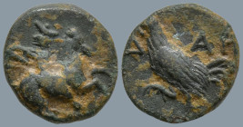 TROAS. Dardanos. (4th century BC).
AE Bronze (11.1mm 1.14g)
Obv: Horseman galloping right, wearing petasos.
Rev: ΔΑΡ. Cock standing left.
BMC 13....