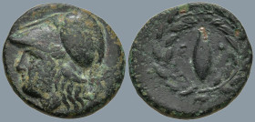 AEOLIS. Elaia. (Circa 340-300 BC).
AE Brozne (16mm 3.06g)
Obv: Helmeted head of Athena to left
Rev: Barley-grain, E-Λ across fields; all within lau...