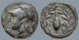 AEOLIS. Elaia. (Circa 340-300 BC).
AE Brozne (11.4mm 1.28g)
Obv: Helmeted head of Athena to left
Rev: Barley-grain, E-Λ across fields; all within l...