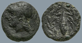 AEOLIS. Elaia. (Circa 340-300 BC).
AE Brozne (10.1mm 1g)
Obv: Helmeted head of Athena to left
Rev: Barley-grain, E-Λ across fields; all within laur...