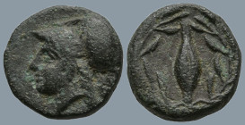 AEOLIS. Elaia. (Circa 340-300 BC).
AE Bronze (10.5mm 1.15g)
Obv: Helmeted head of Athena to left
Rev: Barley-grain within wreath
BMC 126