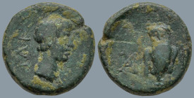 TROAS. Ilion. Augustus (27 BC-14 AD)
AE Bronze (13.9mm 2.28g)
Obv: ΙΛΙ. Bare head of Augustus, right.
Rev: Owl between monograms.
RPC 2308; Bellin...