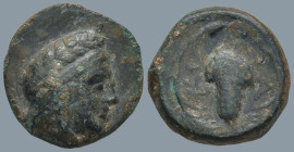 BITHYNIA. Kios. (3rd century BC).
AE Bronze (11.9mm 1.45g)
Obv: Head of Mithras right, wearing a laureate tiara..
Rev: KIA. Bunch of grapes within ...
