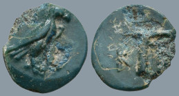 AEOLIS. Kyme. (Circa 320-250 BC).
AE Bronze (9.6mm 0.46g)
Obv: Eagle standing right with closed wings.
Rev: K - Y. One-handled cup.
SNG von Aulock...
