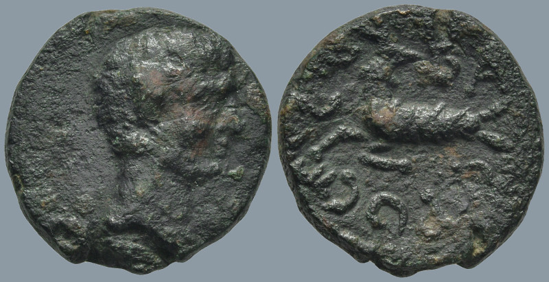 MYSIA. Kyzikos. Augustus (27 BC-14 AD)
AE Bronze (16.9mm 3.53g)
Obv: Bare head...