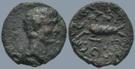 MYSIA. Kyzikos. Augustus (27 BC-14 AD)
AE Bronze (16.9mm 3.53g)
Obv: Bare head of Augustus to right.
Rev: CЄBACTOC Capricorn to left, head to right...