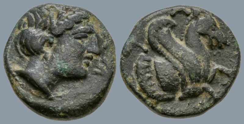 MYSIA. Lampsakos. (4th-3rd centuries BC)
AE Bronze (10.4mm 1.09g)
Obv: Head of...