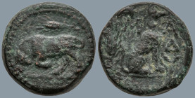 THRACE. Madytos. (Circa 350 BC).
AE Bronze (15.2mm 5.26g)
Obv: Bull butting left; grain ear above
Rev: MAΔY, dog sitting right; upright grain ear b...