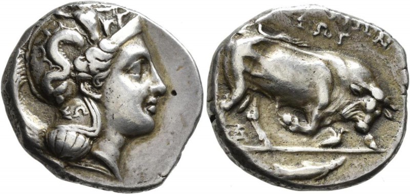Lukanien: Nomos (360-330 v. Chr.) Av: Didrachme, Athenakopf im Helm nach rechts,...