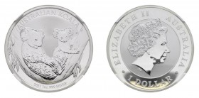 Australien: Elizabeth II. 1952-,: Lot 24 x 1 Dollar 2011 Koala, 1 OZ 999/1000 Silber, KM# 1689, alle Münzen in NGC Holder mit der Qualität MS 69 - One...
