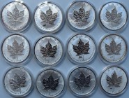 Kanada: Maple Leaf Privy Mark Tierkreiszeichen. Komplett Set 12 Münzen (je 5 CAD / 1 OZ Silber) 1998-2009. Angefangen mit Tiger über Hahn bis zum Büff...