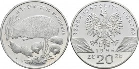 Polen: 20 Zlotych 1996, Igel / Jez / Erinaceus europaeus, KM# Y 312. Polierte Platte.
 [taxed under margin system]