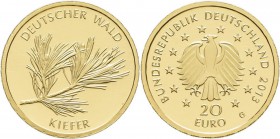 Deutschland: 20 Euro 2013 Kiefer G - Karlsruhe. Serie Deutscher Wald. Jaeger 581. 3,89 g, 999/1000 Gold, in Originalkapsel mit Zertifikat, stempelglan...