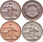 Medaillen Deutschland: Deutsche Landwirtschafts-Gesellschaft: Lot 3 bronzene Verdienstmedaillen von Karl Schwenzer, der Deutschen Landwirtschafts-Gese...
