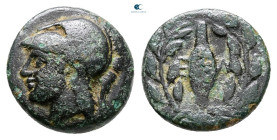 Aiolis. Elaia circa 340-300 BC. Bronze Æ