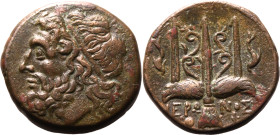 Magna Graecia: Sicily, Syracuse Hieron II circa 217-215 BC Æ Litra Very Fine; glossy brown patina