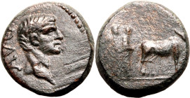 Roman Provincial: Macedon, Philippi(?) Augustus 27 BC - AD 14 Æ18 About Good Very Fine
