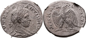 Roman Provincial: Seleucis and Pieria, Antioch Elagabalus AD 219 BI Tetradrachm NGC AU Strike: 4/5 Surface: 3/5