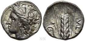 LUCANIA. Metapontion. Nomos - Didrachm (Circa 330-290 BC)