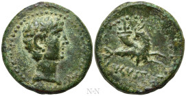 MYSIA. Parium. Augustus (27 BC-14 AD). Ae