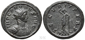 PROBUS (276-282). Antoninianus. Ticinum