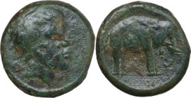 Greek Italy. Etruria, Arretium (?) The Chiana Valley. AE 18 mm, c. 208-207 BC. Obv. Head of an African male right. Rev. Elephant standing right, bell ...
