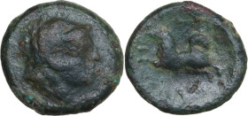 Greek Italy. Inland Etruria, uncertain mint. AE 16 mm, c. 3rd century BC. Obv. Head of Herakles right, wearing lion's skin headdress. Rev. Maltese dog...