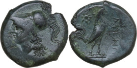 Greek Italy. Samnium, Southern Latium and Northern Campania, Cales. AE 18 mm. c. 265-240 BC. Obv. Helmeted head of Athena left. Rev. CALENO. Cock stan...