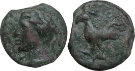 Greek Italy. Northern Apulia, Luceria. Heavy Series. AE Cast As, c. 225-217 BC. Obv. Head of Apollo left; in left field, mark of value. Rev. Cock stan...