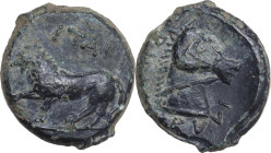 Greek Italy. Northern Apulia, Teate. AE 20.5 mm. 325-275 BC. Obv. [T]IATI retrograde. Lion walking left. Rev. [...] I Λ [...] retrograde. Head and nec...