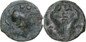 Greek Italy. Northern Apulia, Venusia. AE Biunx, c. 210 BC. Obv. Head of Minerva right; above, two pellets. Rev. Two dolphins downward; VE ligate betw...