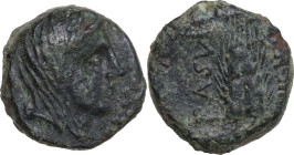 Greek Italy. Northern Lucania, Paestum. AE Semis, c. 90-44 BC. Obv. Veiled head of Demeter right; S (mark of value) before. Rev. Grain ear; P•ASVI abo...