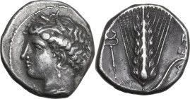 Greek Italy. Southern Lucania, Metapontum. AR Stater, c. 340-330 BC. Obv. Head of Demeter left, hair tucked up under barley wreath, wearing single-pen...